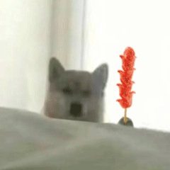 可爱小狗表情包，可爱表情包大全狗子