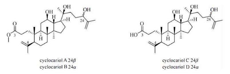 萜类的作用及功能，植物功效成分-三萜及其苷类