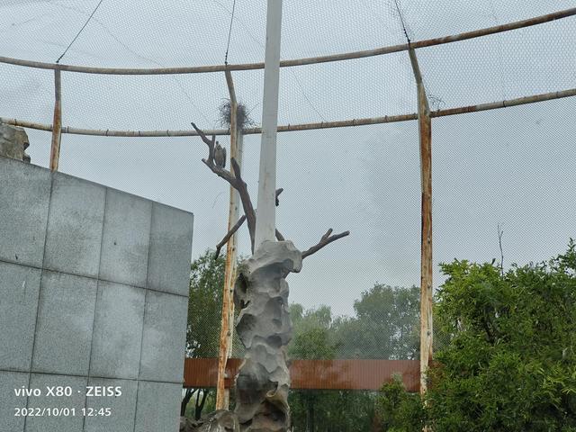 石家庄动物园攻略，石家庄动物园游玩自带饭攻略