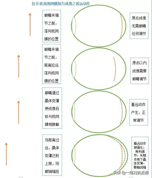 眼睛的成像原理示意图，眼睛所有成像过程一览