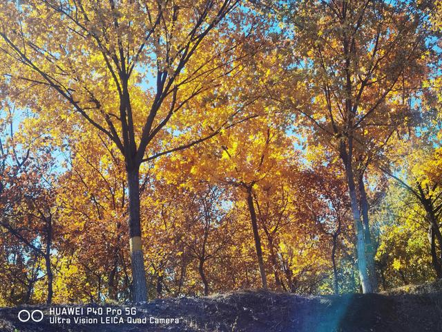 北宫国家森林公园景点介绍，北宫国家森林公园游记