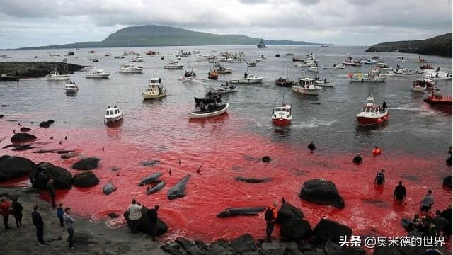 挪威人口及面积，挪威这个国家有多大（欧洲唯一“闷声发大财”的国家）