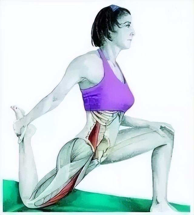 10分钟懒人拉伸训练动作，这6组33个拉伸动作绝了