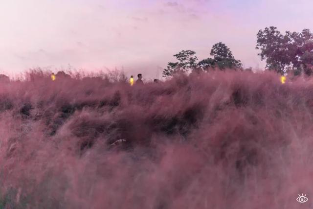 附近看花的地方，深圳最适合去赏花的地方（2023西安及周边赏樱花的地点大全）