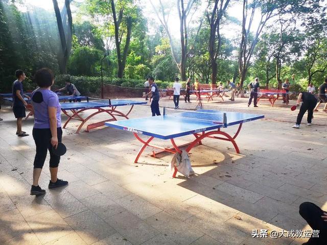 江南公园黄花风铃木陆续绽放，品悟江南 ， 醉看江南风铃美