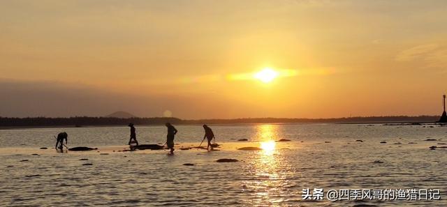 赶海去哪里比较好，在哪个海滩赶海最好玩