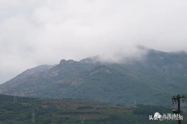 海棠微雨共归途明信片画师，当读者分不清自己定位时