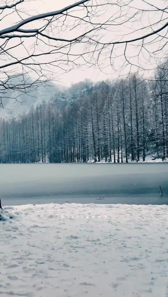 晚来天欲雪下一句，晚来天欲雪（晚来天欲雪能饮一杯无全诗）