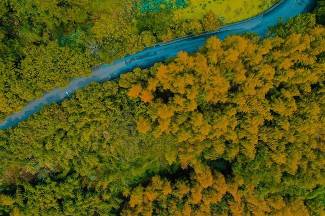 达州凤凰山景点介绍，云赏达州凤凰山