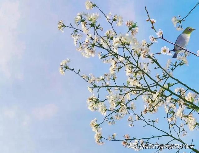 杭州有哪些必游景点免费，最能代表杭州的17个精华景点