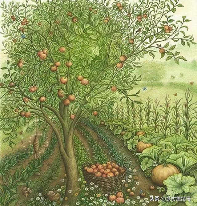 菜园与花园的设计，成就田园生活的食材花园