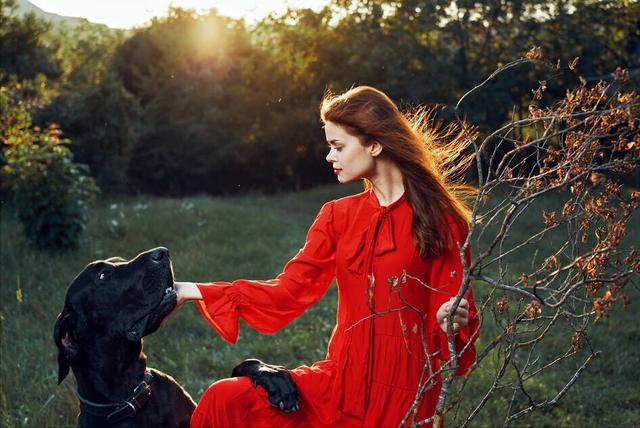 狗狗舔你代表什么，狗狗老是舔你表示什么