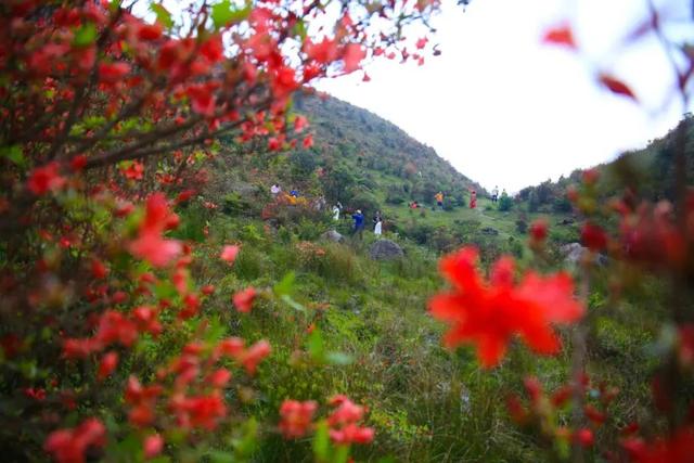 云浮天露山风景区好玩吗，广州出发自驾2h