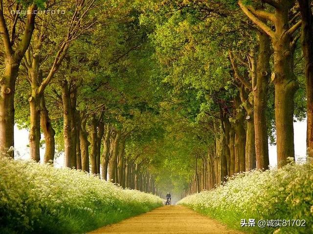 适合秋天的景色，中国十大秋色，哪里最美