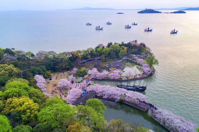 相约无锡太湖鼋头渚樱花季，赴鼋头渚来一场樱花的春日约会