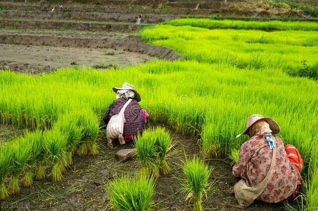 地球上最后一个人，地球上最后一个人怎么活下去（谁将是地球上最后一个生物）