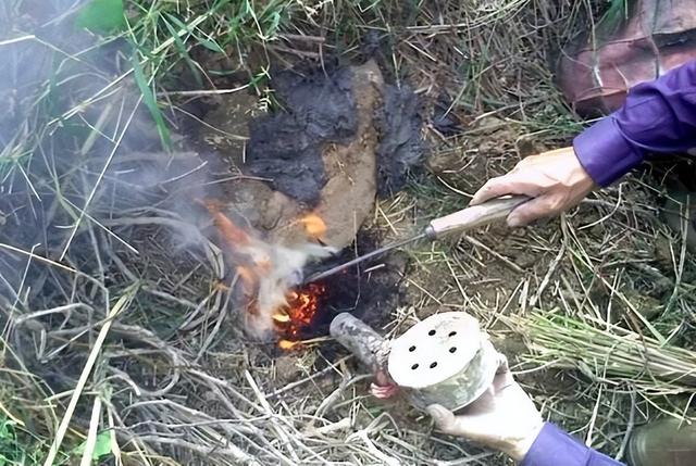 女子入厕大便全程遭拍，常州1女子当街大便
