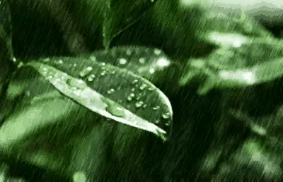 南方暴雨来袭这份暴雨指南请收下，今日9月5号暴雨大雨中心确认