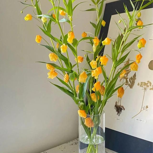 超好看的背景图，那些超好看的背景图