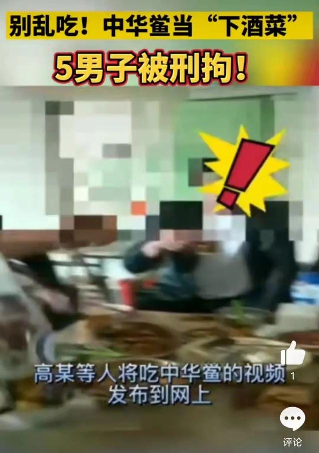 柬埔寨血奴事件，柬埔寨血奴事件发生原因（90后福建女子柬埔寨遭性侵殴打）