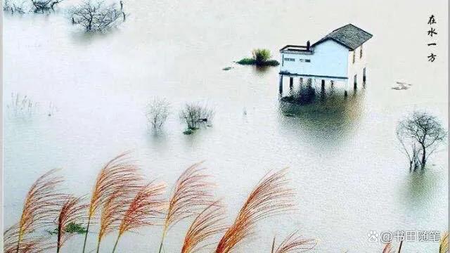 诗经有名的篇目，梁思成、林徽因、傅斯年......那些来自《诗经》的名字