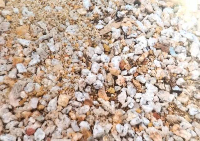 养兰花什么植料最好，这“3种”植料