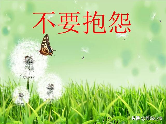 不要抱怨他人不要埋怨自己，千万不要埋怨任何人。