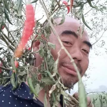 鲁智深的外貌特征，鲁智深性格外貌特征