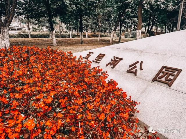 我们身边的沈阳，他曾数十次翱翔在沈阳的上空