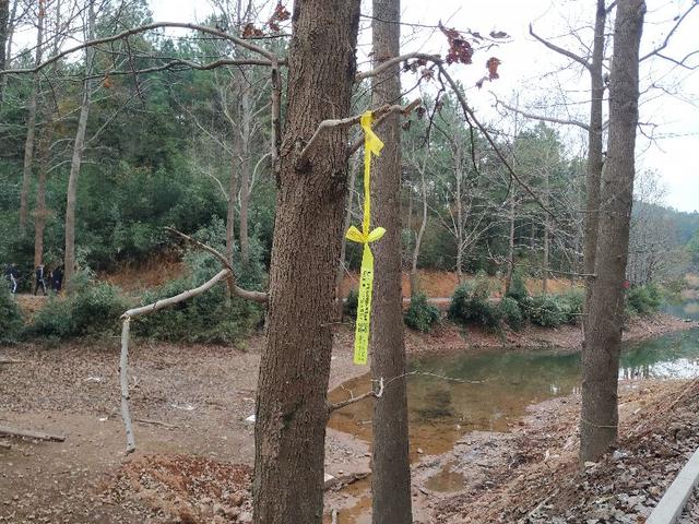 杭州爬山徒步最佳路线轨迹，杭州人的后花园