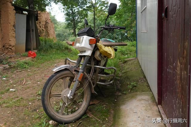 男子闯进牧区被三条巨大藏獒追赶，一男子进入大门后被藏獒追咬