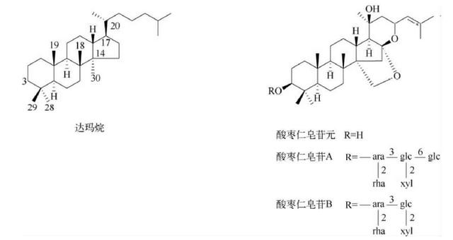萜类的作用及功能，植物功效成分-三萜及其苷类