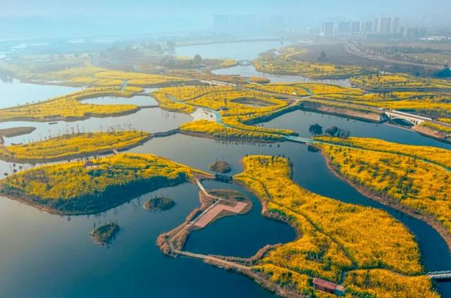 成都周边花海一日游，成都出发1h赏千亩梨花