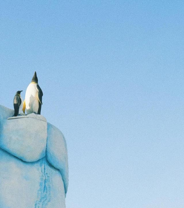 哈尔滨海洋极地馆，哈尔滨极地海洋馆内部（哈尔滨极地公园·极地馆）