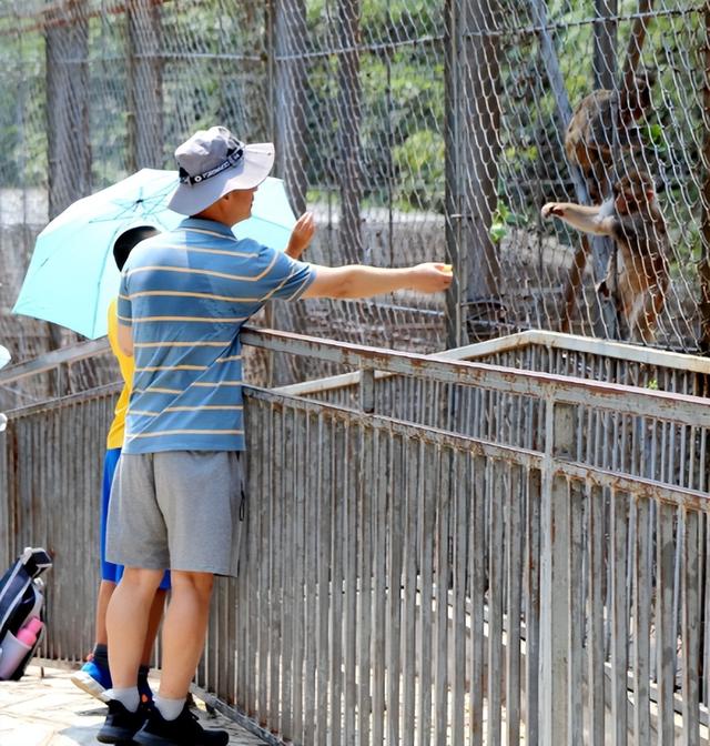 来自北宫国家森林公园的惊喜，仰天山国家森林公园游玩攻略图