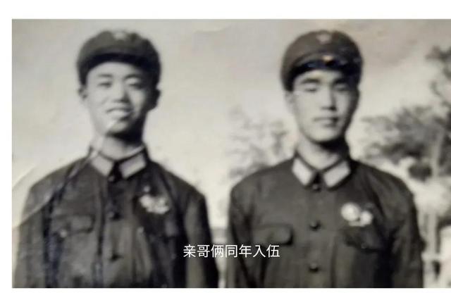 蛔虫 肥胖(蛔虫会导致体重下降吗)