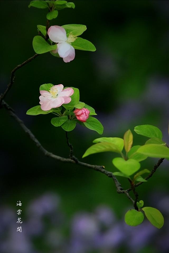 飞花令里读诗词，飞花令诗词大全（飞花令里读诗词）