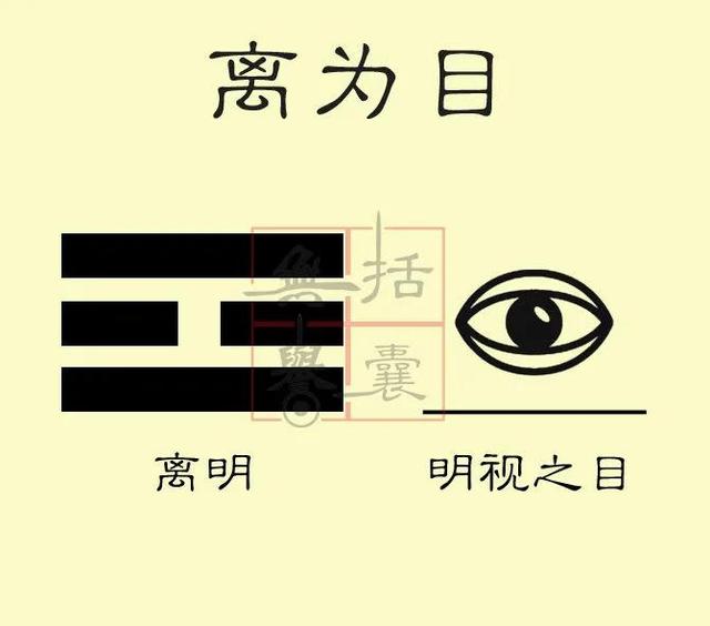 八卦巽上乾下，八卦与人体乾首