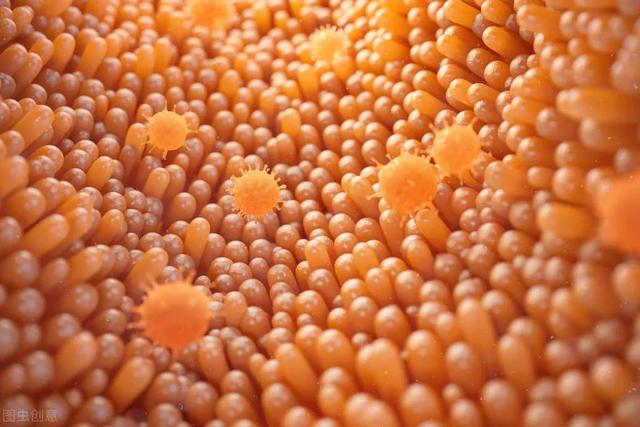 肠胃不好的人都有哪些症状，肠胃不好会有哪些症状