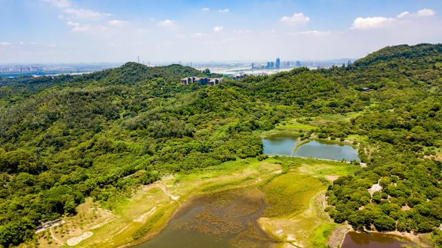 广州南沙湿地公园，南沙最大的湿地公园（广州南沙旅行攻略）