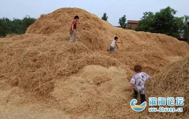 白象方便面真的好吃吗，白象方便面的味道