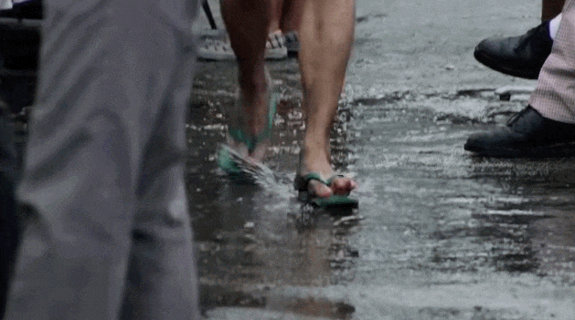 南宁市动物园浣熊介绍，带你去南宁动物园看