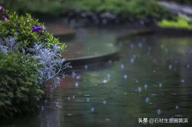 砂岩是什么岩石，泥岩和砂岩页岩的主要区别（哪些岩石中有宝石？—化石）