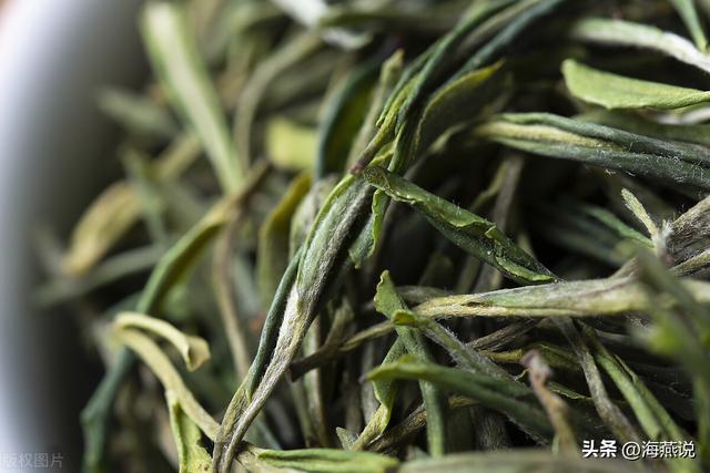 十大名茶安徽几个，享誉全国的安徽四大名茶