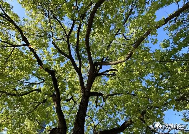 嘉兴老城区指哪里，1907年的嘉兴老城区水门和三塔