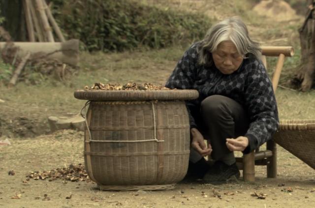 农村题材的电影，十部经典的农村电影（这可能是最好的农村题材电影）