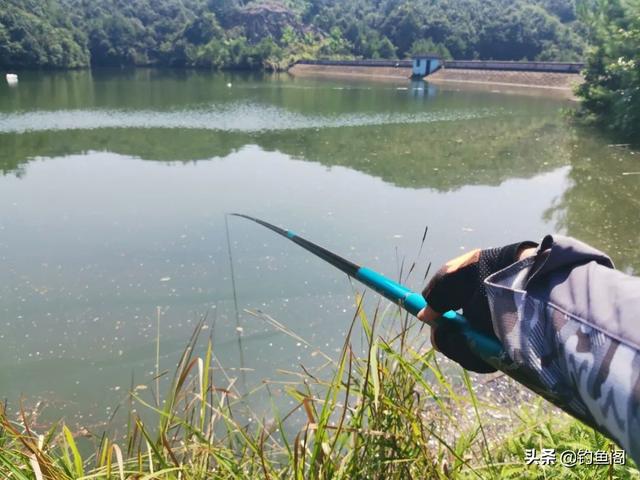 钓什么鱼用什么钩，钓鲫鱼草鱼鲤鱼都用什么钩（每一个都有自己的优点）