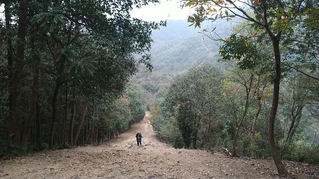 杭州爬山徒步最佳路线轨迹，杭州人的后花园