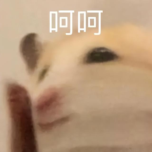 小仓鼠动态迷你表情包，变形脸仓鼠可爱老鼠