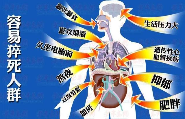 肥胖体型胸痛(肥胖导致胸口疼)